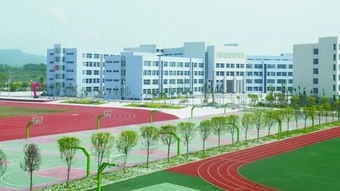 芦山中学校园