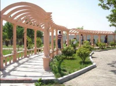 南京行知实验中学英语角