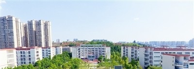 20210315152449120506.jpg 9.jpg