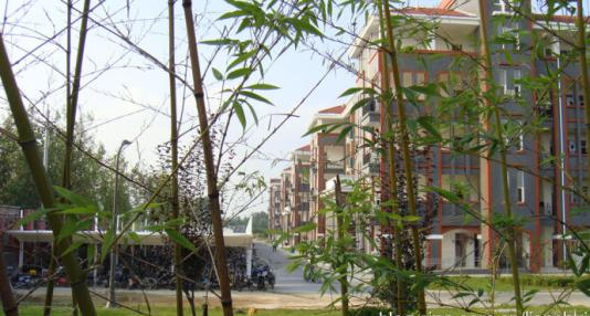 20210316092001125618.png 15.png