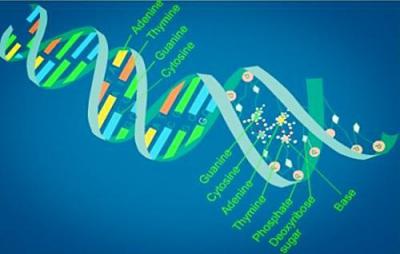 应用生物科学专业