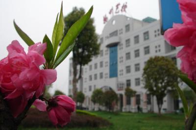 扬州文化艺术学校2021年有哪些专业