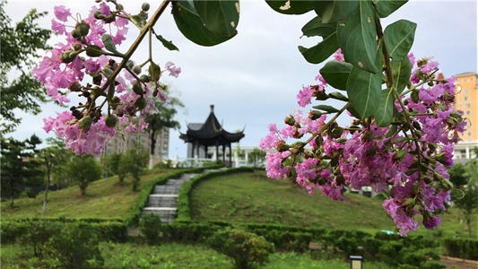 20210326155942695694.jpg 9.jpg