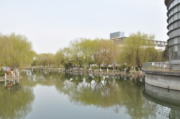 20210416101103781112.jpg 8.jpg