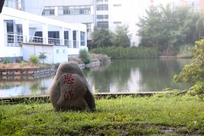 学校环境