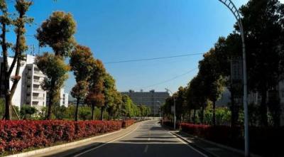 铜川市印台区高楼河中学校园