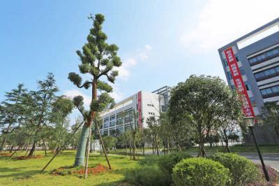 文理学院附中学校园