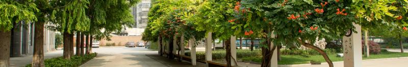 20210506112022764588.jpg 1.jpg