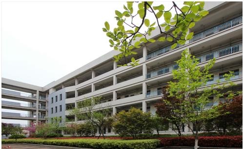 20210507110714833912.jpg 1.jpg