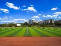 20210517154202539575.jpg 5.jpg