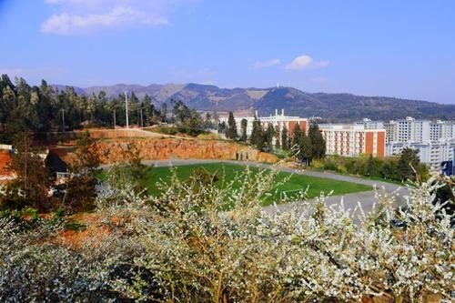 20210517171444962491.jpg 4.jpg