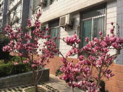 南宁市卫生学校2021年报名条件、招生要求