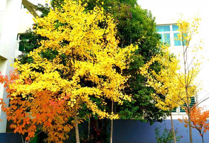 20210528095834130158.jpg 5.jpg