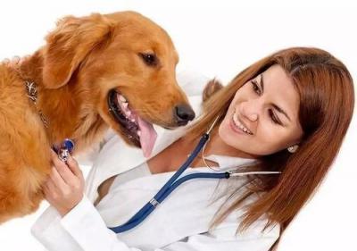 宠物养护与疫病防治专业