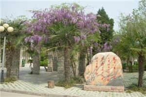 20210628092728575119.jpg 4.jpg