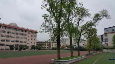 安顺市第一高级中学2021年招生计划