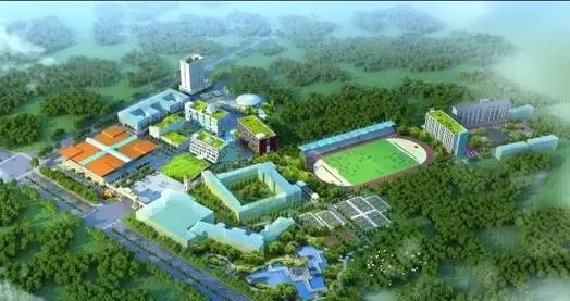 20210729144801326482.jpg 4.jpg