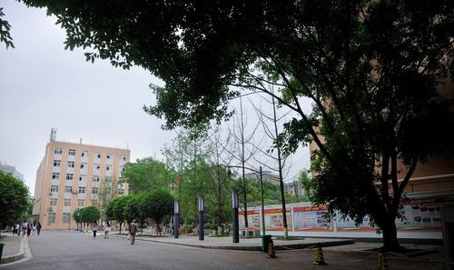 20210824175144359530.jpg 3333333.jpg