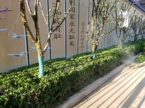 20210826140625137258.jpg 555555555.jpg